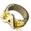 Anneau d'Amakna