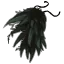 Cape du Corbeau Noir