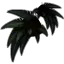 Epaulettes du Corbeau noir