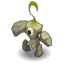Krakotte
