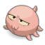 Pupuce