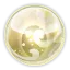 Ivory Dofus Aura